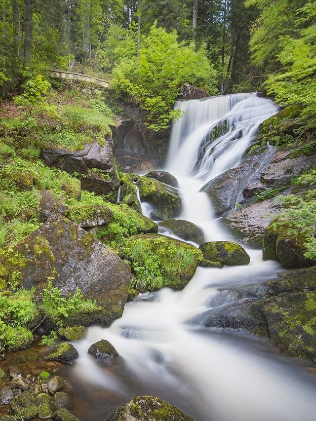 black forest day trip from stuttgart